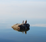 Salt Lake impressions